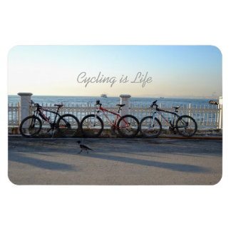 Cycling is Life Magnet