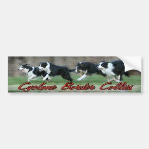 Cyclone Border Collies bumper sticker