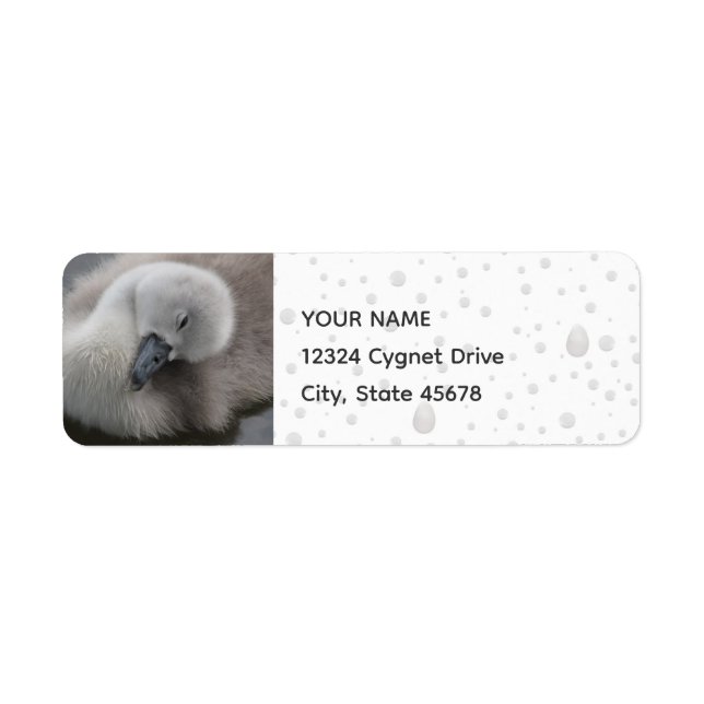 Cygnet Swan in the Rain Label (Front)