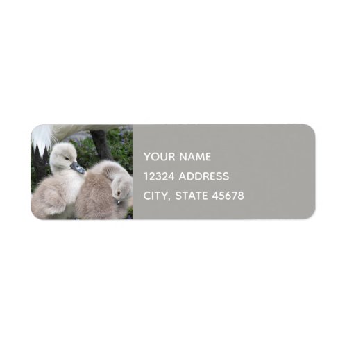 Cygnet Swans Photograph Return Address Label