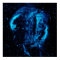 Cygnus Loop Nebula Supernova Remnant NASA Photo