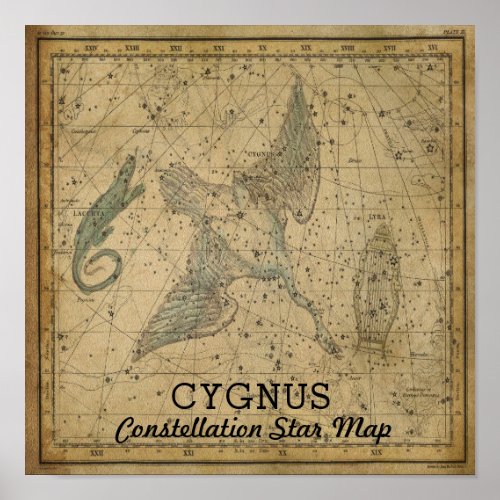 Cygnus Swan Constellation Star Map Poster