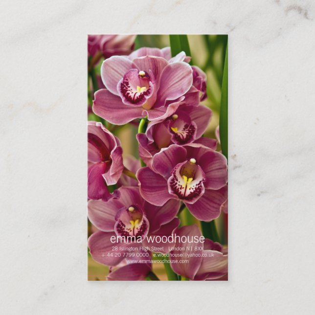 Cymbidium Orchid Business Card (Front)