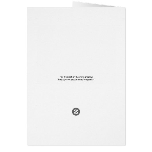 Cymbidium Orchids (Back)