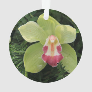 cymbidium orchids ornament