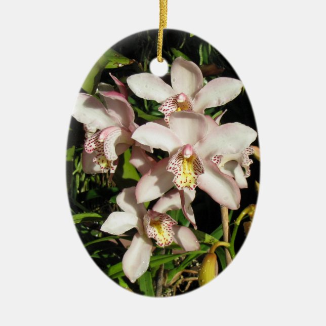 Cymbidium Orchids ornament, customize Ceramic Ornament (Front)