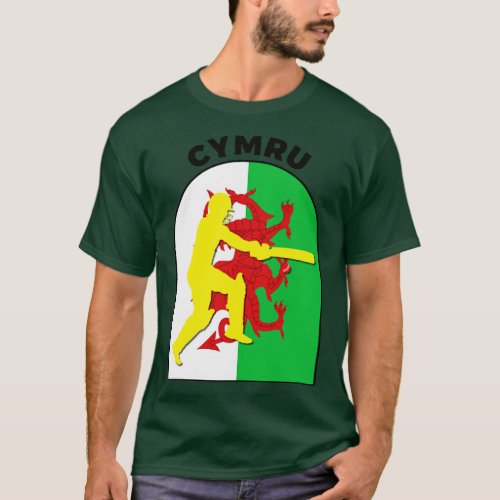 Cymru Cricket Batsman Baner Cymru  T_Shirt