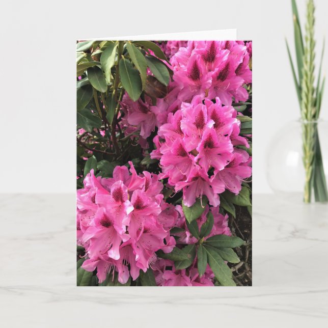 Cynthia Rhododendrons, Oregon Card (Front)