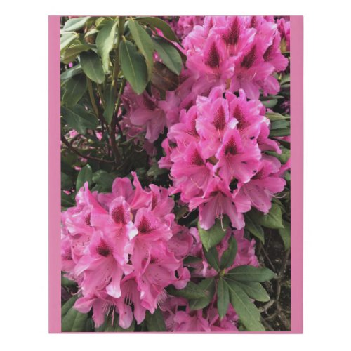 Cynthia Rhododendrons Oregon Faux Canvas Print