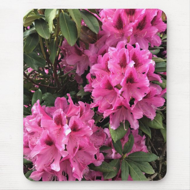 Cynthia Rhododendrons, Oregon Mouse Pad (Front)