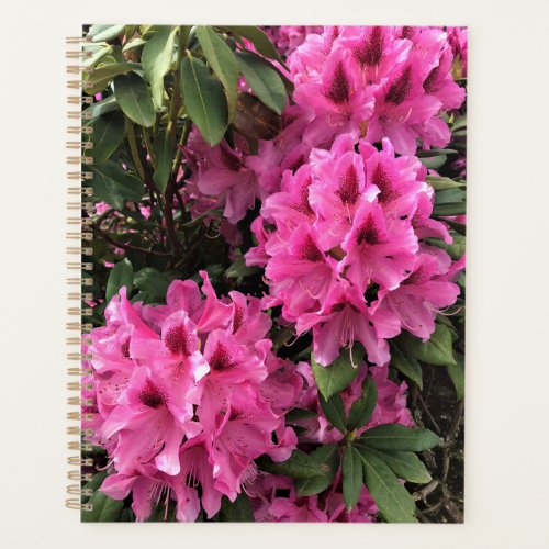 Cynthia Rhododendrons Oregon Planner