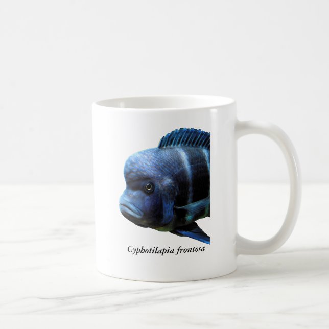 Cyphotilapia frontosa coffee mug (Right)