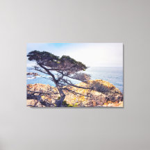Cypress by The Sea