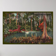 Cypress Gardens Florida Canvas Print