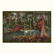 Cypress Gardens Florida Canvas Print