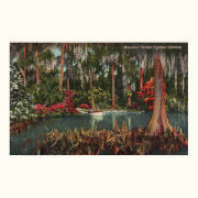 Cypress Gardens Florida Poster