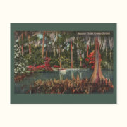 Cypress Gardens Vintage Postcard