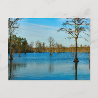 Cypress Lake Postcard