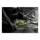 Cypress Skeleton - card (Front Horizontal)