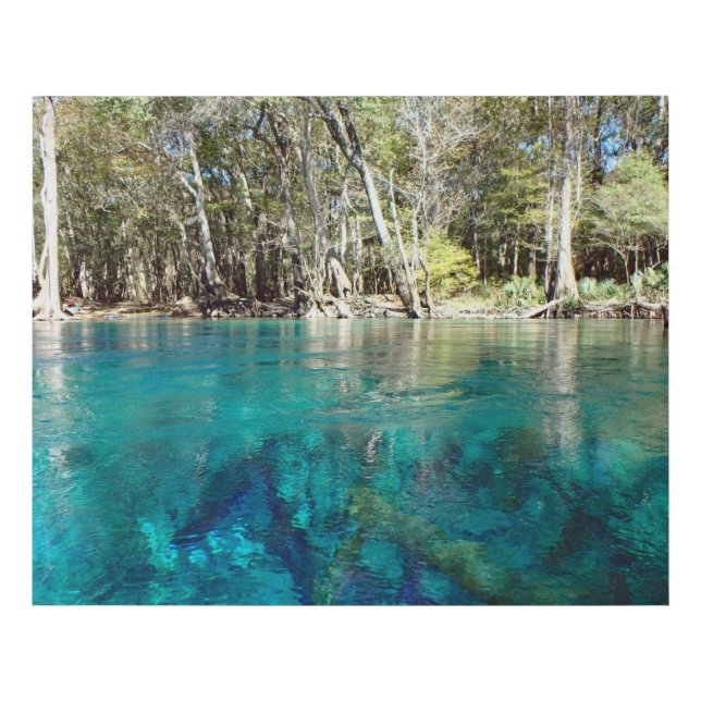 Cypress Springs Faux Canvas Print (Front)