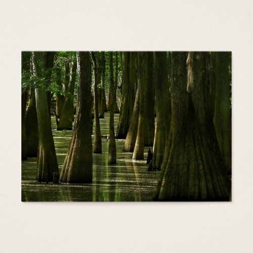 Cypress Swamp ATC Card Business Card