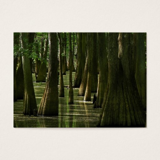 Customizable Cypress Swamp ATC Card Business Card