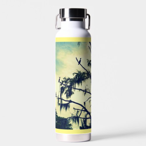 Cypress Tree Birds Water Bottle