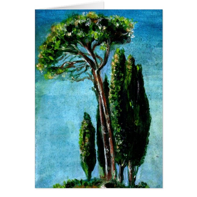 CYPRESS TREES AND MEDITERRANIAN PINE IN TUSCANY CARDS (Front)