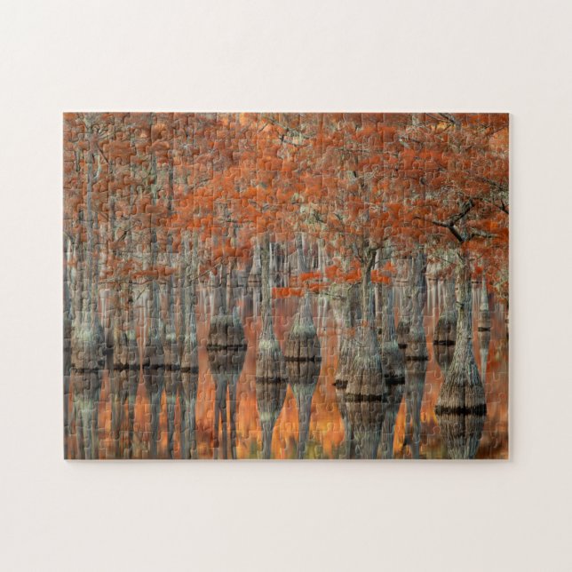 Cypress Trees | George Smith State Park, Georgia Jigsaw Puzzle (Horizontal)