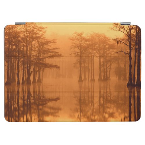 Cypress Trees George Smith State Park iPad Air Cover