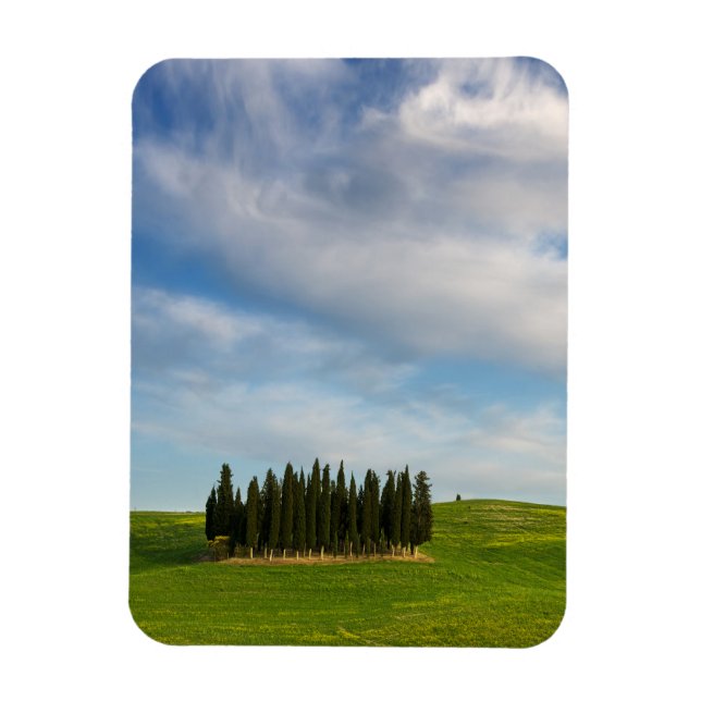 Cypress trees in Tuscany vertical magnet (Vertical)