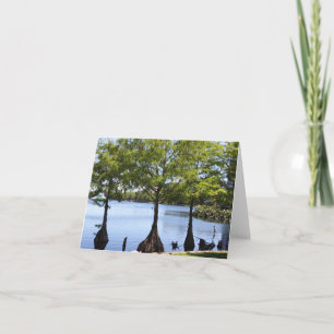 Cypress Trees Photo Folded Note Card