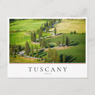 Cypress winding road in Tuscany, Italy Postcard
