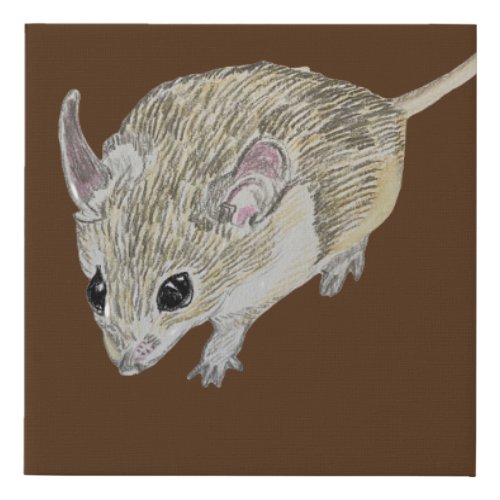 Cypriot Spiny Mouse   Faux Canvas Print