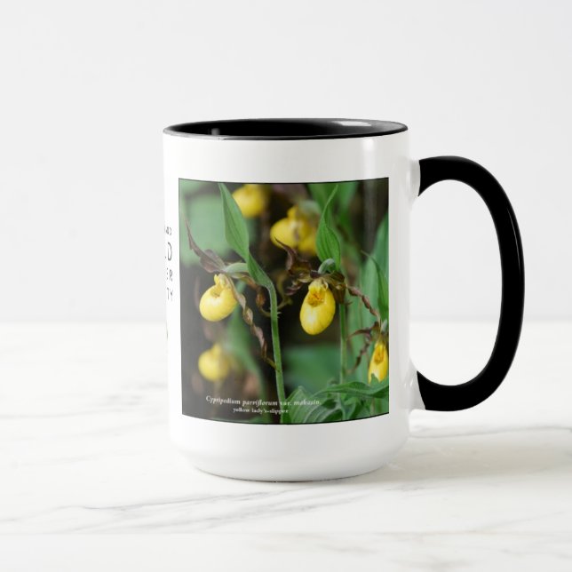 Cypripedium parviflorum, yellow lady's-slipper mug (Right)