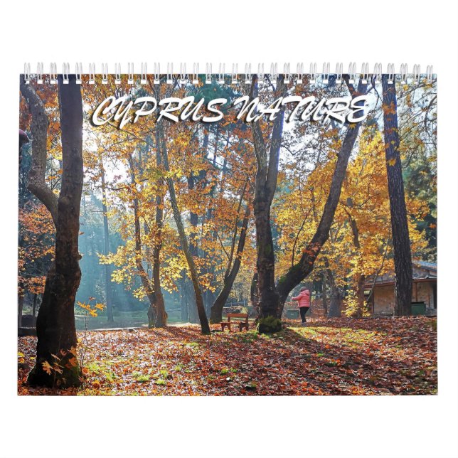 cyprus calendar (Cover)