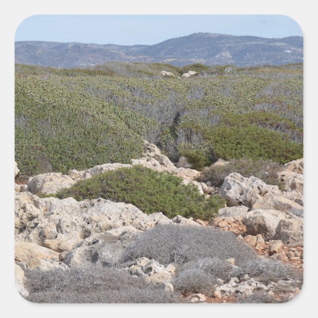 Cyprus Landscape Stickers (Front)