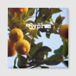 Cyprus Lemon Grove Magnet