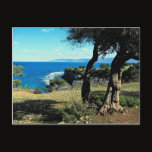 Cyprus Postcard