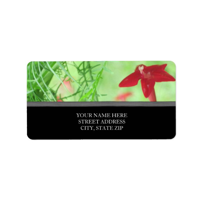Cyprus Vine Address Labels (Front)