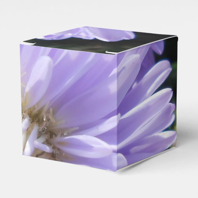 Cyrene Favor Boxes (Front Side)