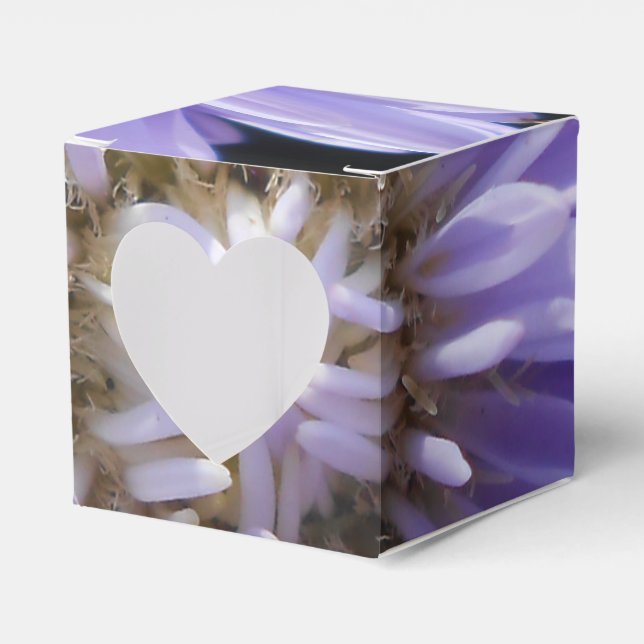 Cyrene Favor Boxes (Front Side)