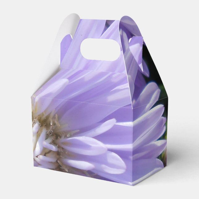 Cyrene Favor Boxes (Front Side)