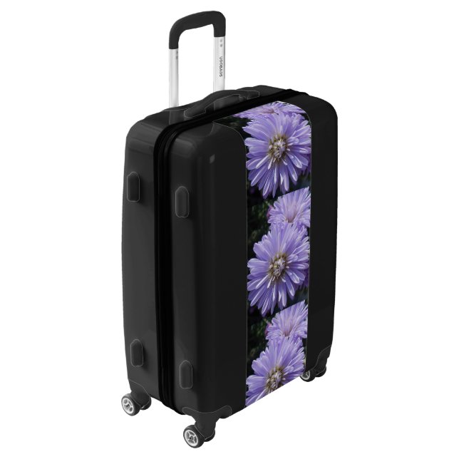 Cyrene Luggage (Rotated Left)