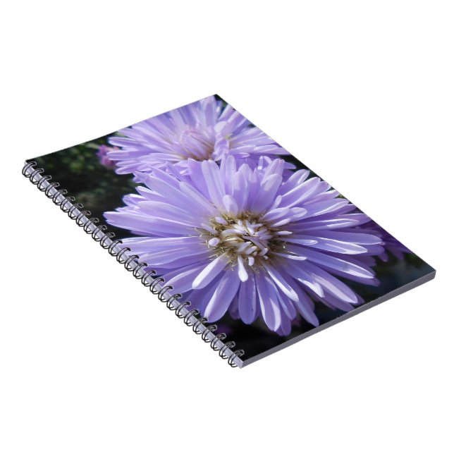 Cyrene Notebook (Right Side)