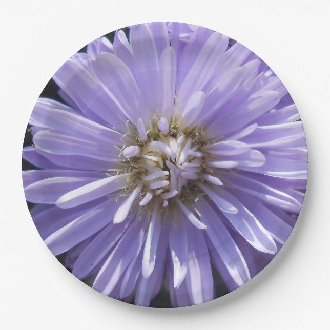 Cyrene Paper Plates (Front)