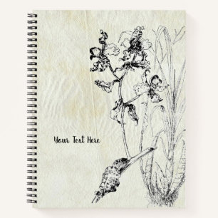 Cyrtopodium punctatum Orchid Notebook