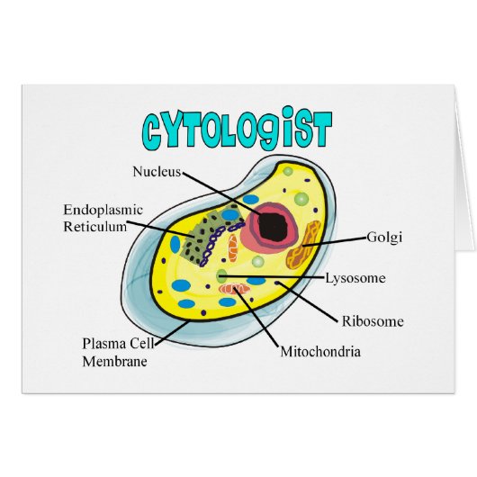 Cytologist Human Cell Drawing Gifts (Front Horizontal)