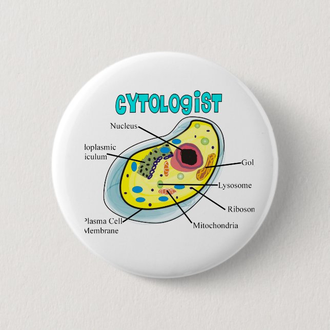 Cytologist Human Cell Drawing Gifts Pinback Button (Front)