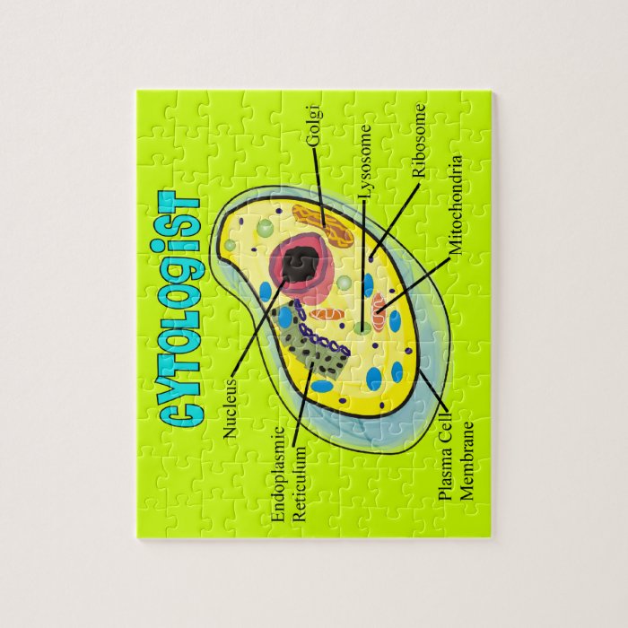 Cytologist Human Cell Puzzle